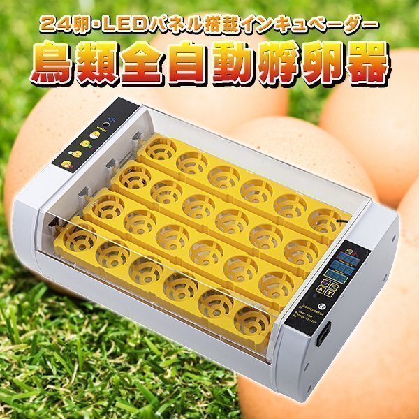 インキュベーター 鳥類 全自動孵卵器 孵卵機 ふ卵機 自動孵卵器 24枚 孵化器 実験用拍卖