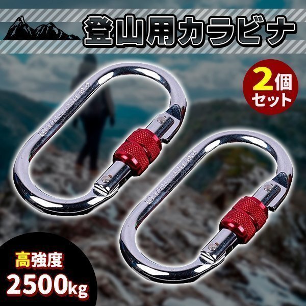 登山用 カラビナ 25KN 2個セット クライミングカラビナ ハードスチール 登山用具 環付きカラビナ スクリューロック拍卖
