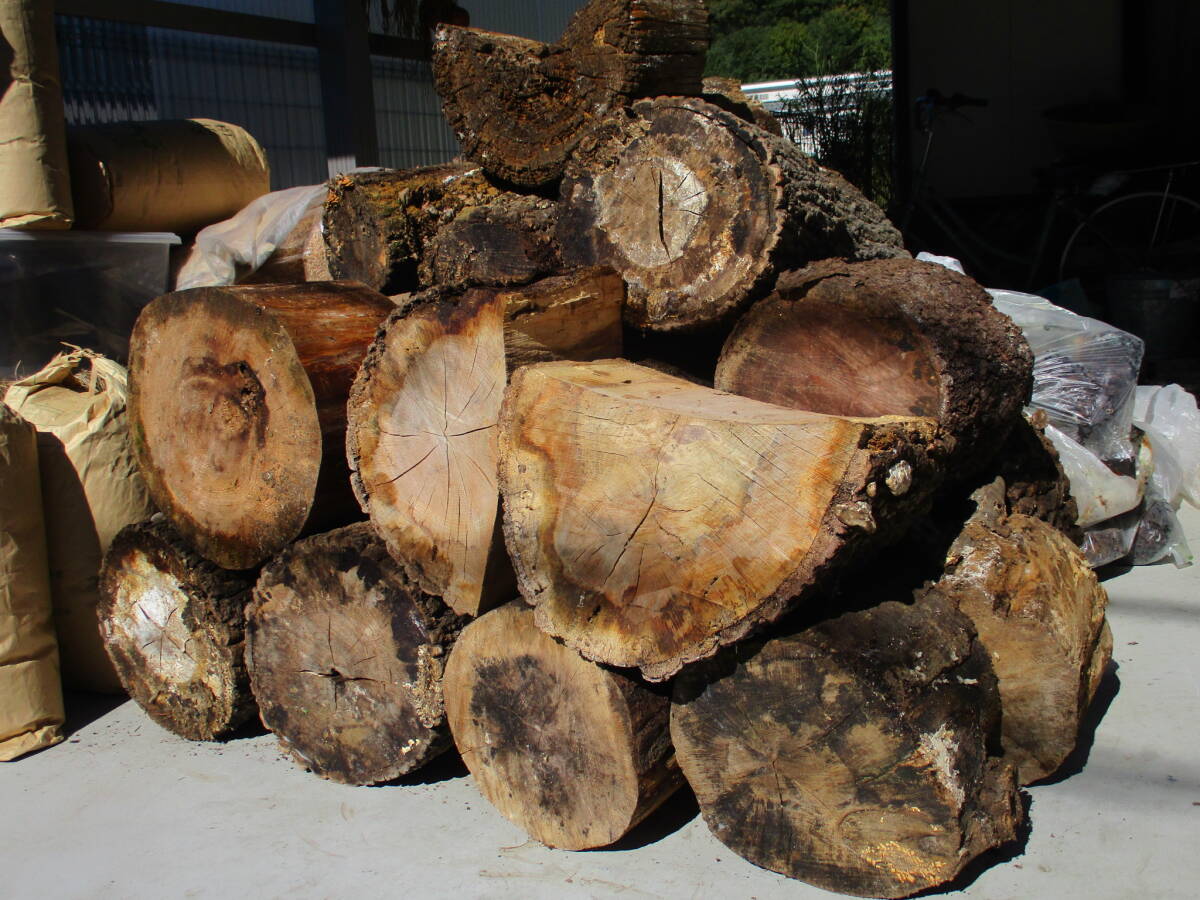引取限定・岐阜県関市◆広葉樹の薪(マキ)玉切り拍卖
