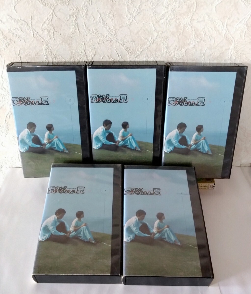 渡部篤郎主演 広末涼子 テレビドラマ 愛なんていらねえよ、夏 VHS ビデオテープ全5巻セット レンタル落ち 第1話〜第10話 拍卖