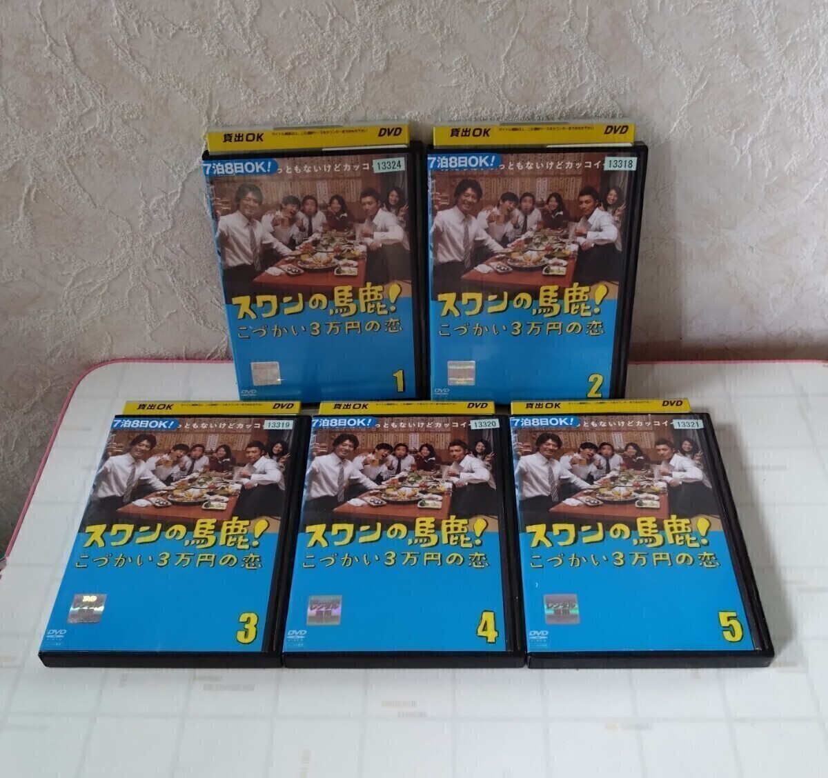 スワンの馬鹿!こづかい3万円の恋 テレビドラマ DVD レンタル落ち 全5枚 第1話〜第10話 上川隆也 成宮寛貴 劇団ひとり 芦名星 他拍卖
