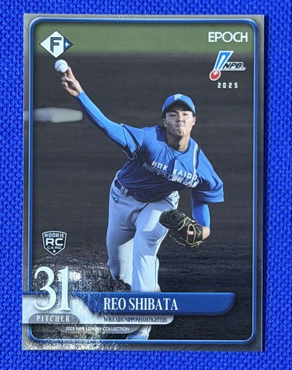 柴田獅子【111枚限定】EPOCH 2025 NPB LUXURY COLLECTION【ベースシリアル版】北海道日本ハムファイターズ #024/111 ROOKIE RC エポック拍卖