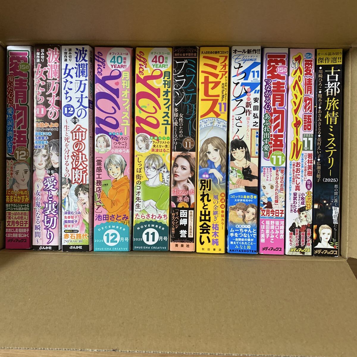 愛情物語11.12スペシャル、波瀾万丈の女たち11.12オフィースユー11.12ミステリーブラン11フォアミセス11エレガンスイフ11他1 計11冊拍卖