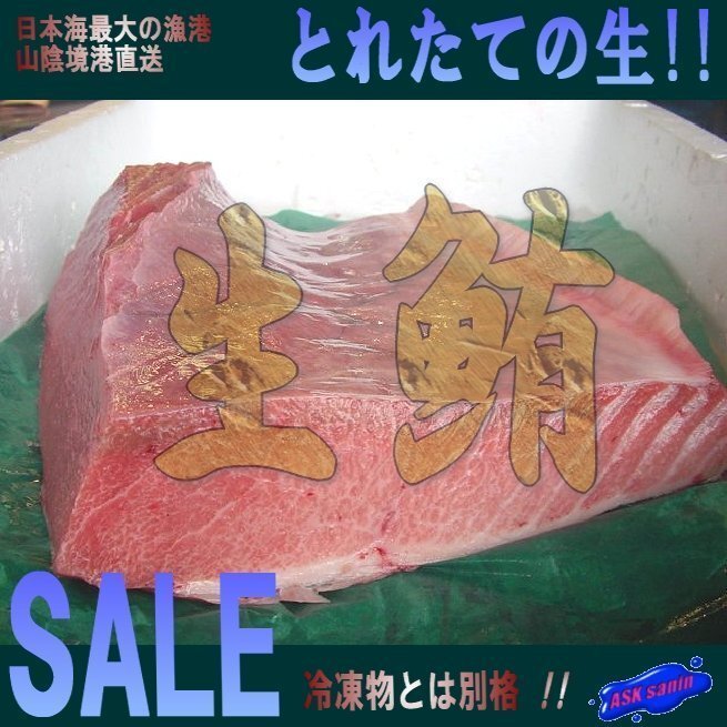 生まぐろ「腹上3-5kg」カマ付、一番旨いところ!!(不定貫につき差額発生します。)拍卖