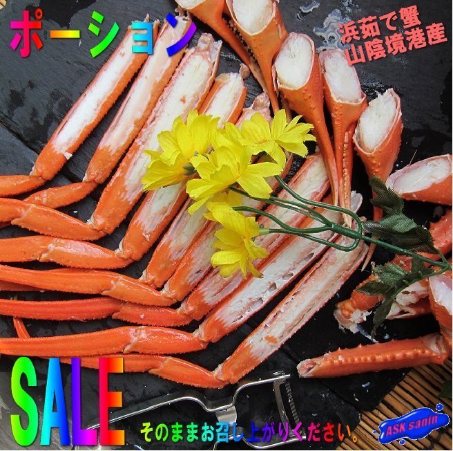 【激安セール】殻付き「ポーション100本位 3kg」紅ずわい蟹、蟹の本場、境港産拍卖