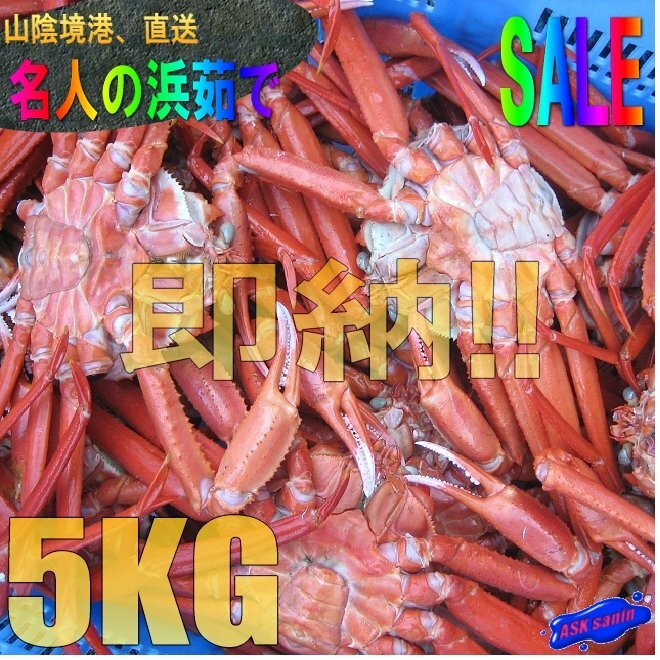 名人の【浜茹で蟹AA-5kg】★即納★境港直送!! -15尾位で5kg位-.「冷凍紅蟹5kg」拍卖