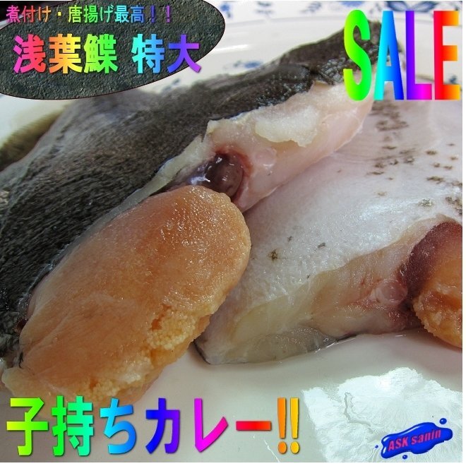礒の高級魚「子持ちカレイ12尾位入り5kg」-浅羽カレイ-是非煮付けでお召し上がり下さい。拍卖