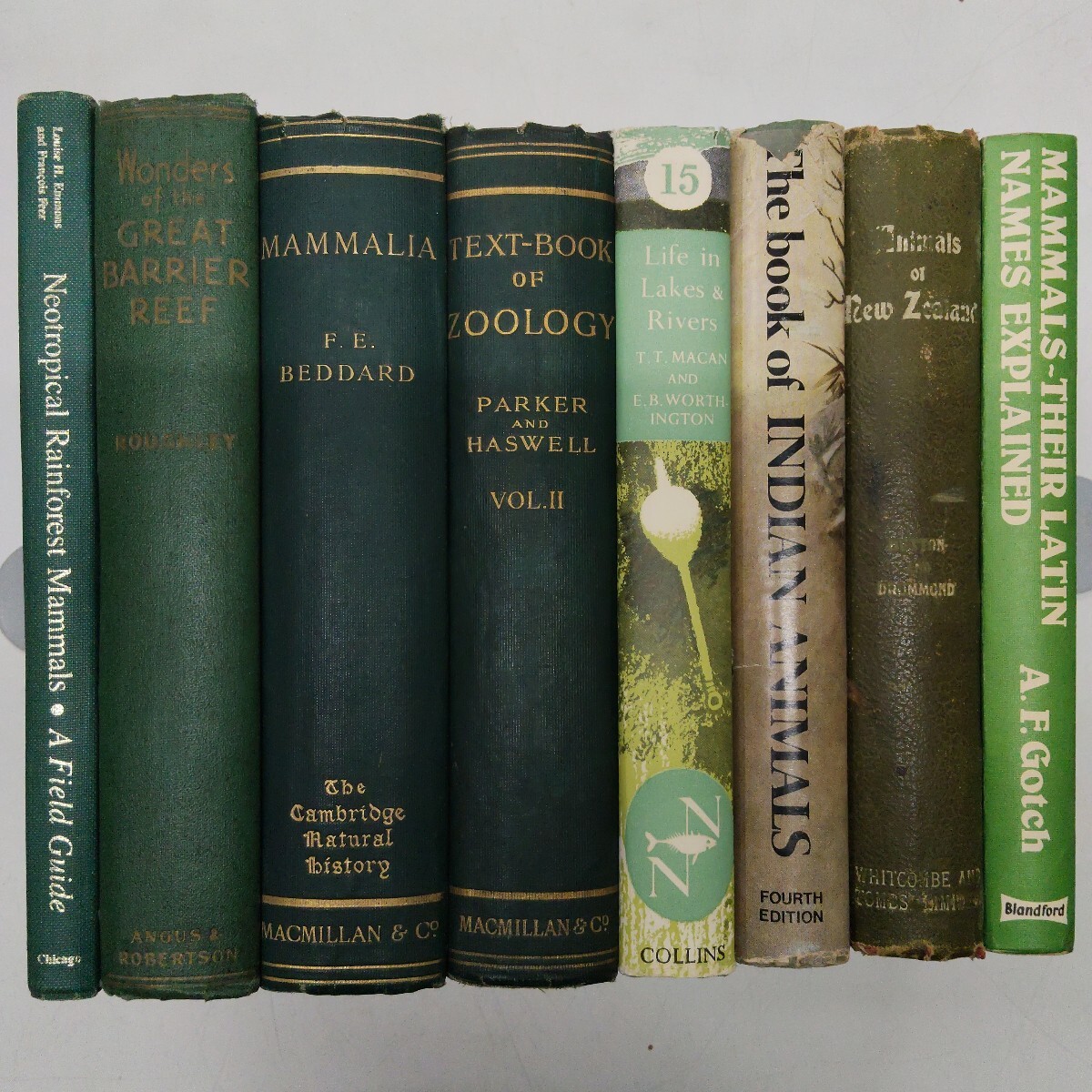 k1101-5 動植物関連洋書まとめてセット /哺乳類/生態学/植物/ラテン名/熱帯雨林/インド/ニュージーランド/グレートバリアリーフ/古書拍卖