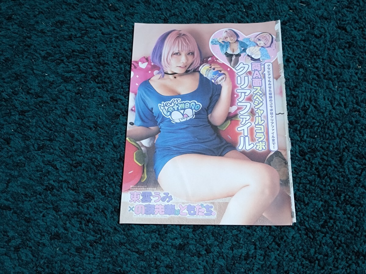 東雲うみ×のあ先輩はともだち。☆クリアファイル/ヤングジャンプ2025年46号付録拍卖