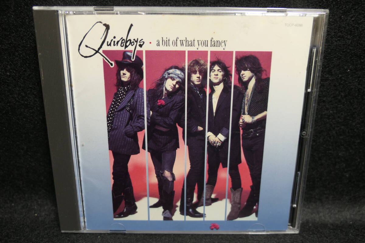 【中古CD】 日本盤 / クワイアボーイズ THE QUIREBOYS / A BIT OF WHAT YOU FANCY / 日本語解説・英語歌詞付 / TOCP-6088拍卖