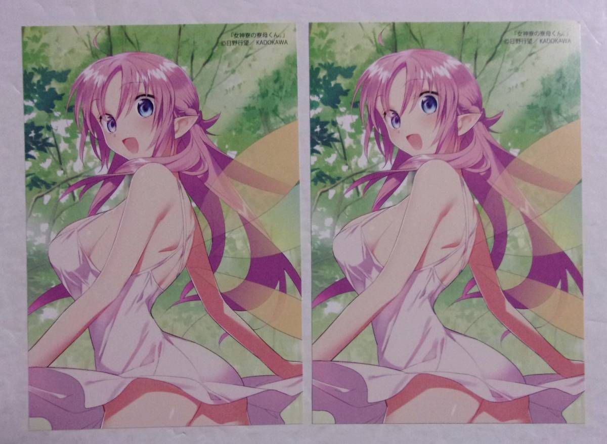 【イラストカード】 女神寮の寮母くん。 2枚セット B 日野行望 非売品 拍卖