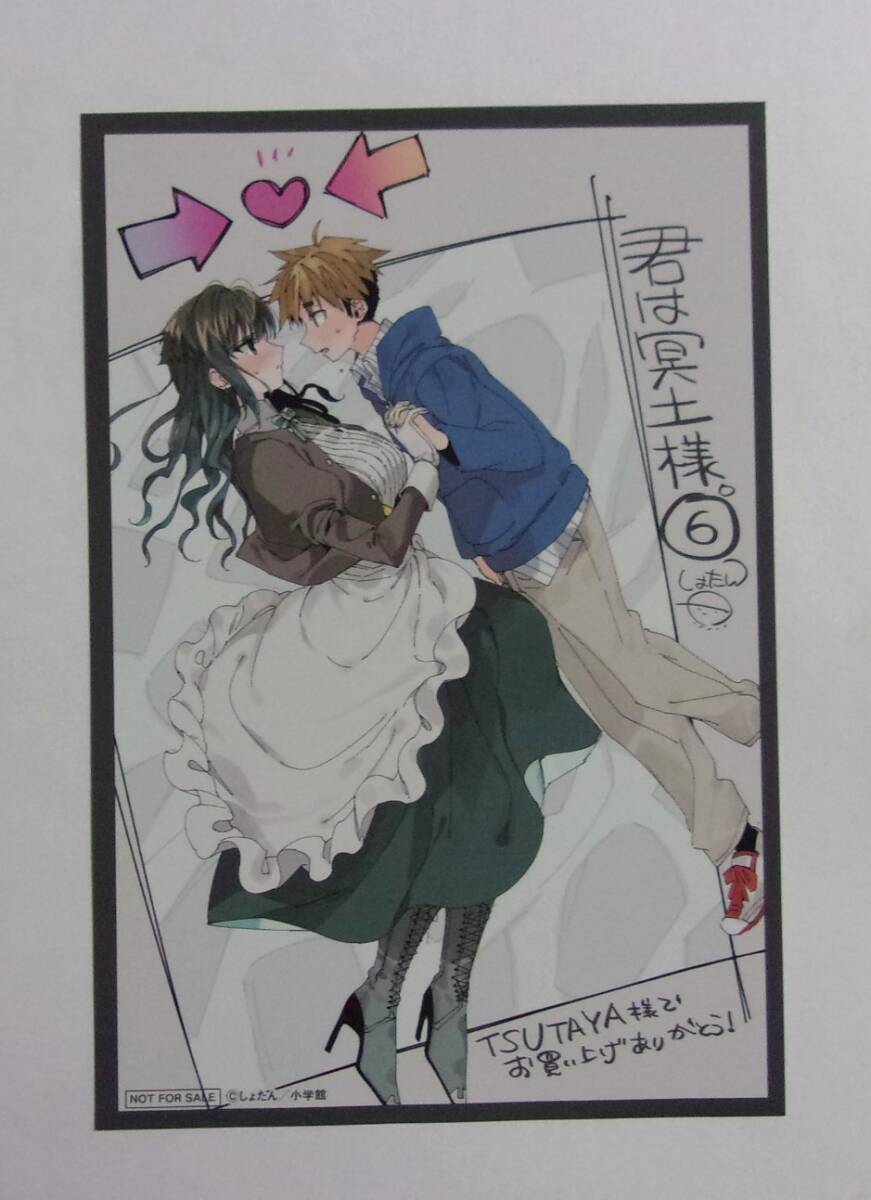 【イラストカード】【TSUTAYA購入特典】 君は冥土様。 6巻特典 しょたん/小学館 非売品拍卖