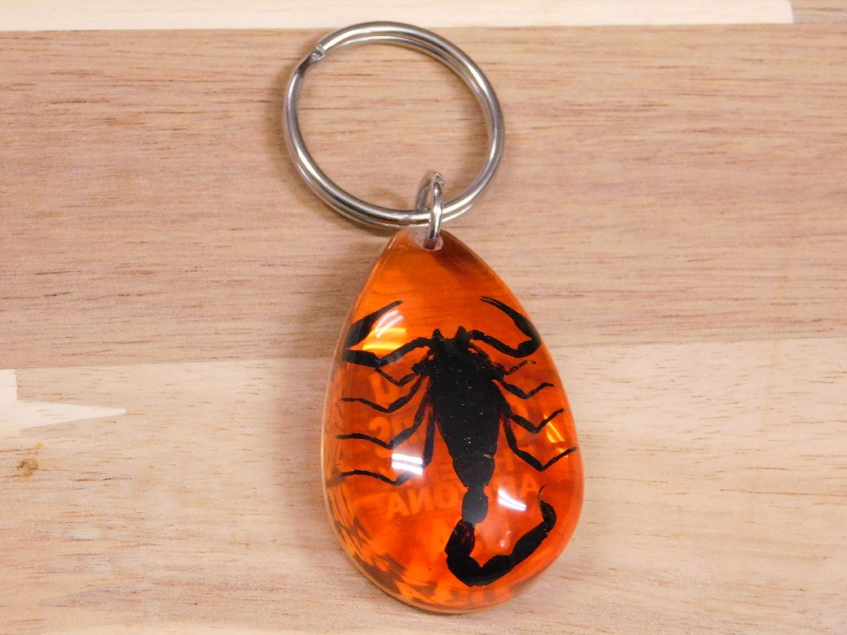 ◆送料\140◆【SCORPION・スコーピオン】※《ドロップキーチェーン/イエロー》 本物のサソリ入り キーホルダー キーリング拍卖