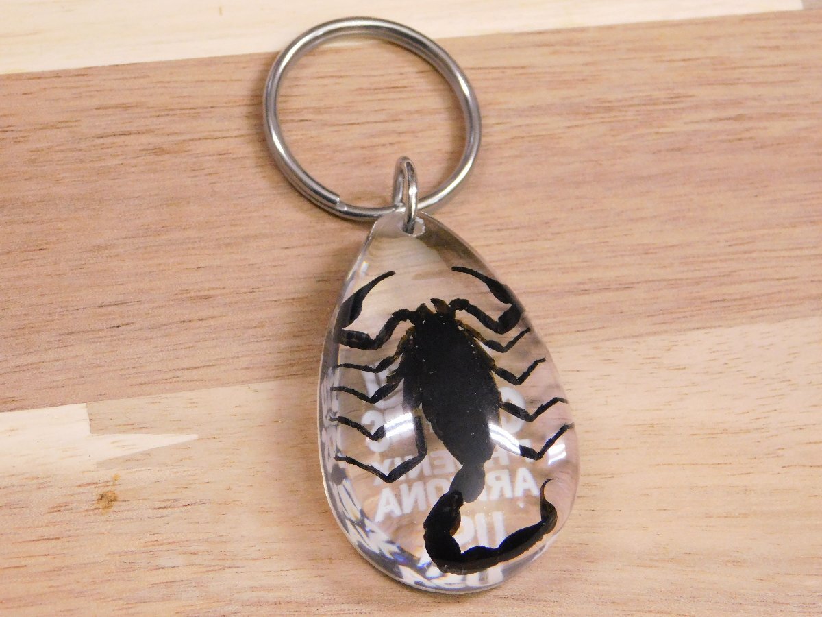◆送料\140◆【SCORPION・スコーピオン】※《ドロップキーチェーン/クリア》 本物のサソリ入り キーホルダー キーリング拍卖