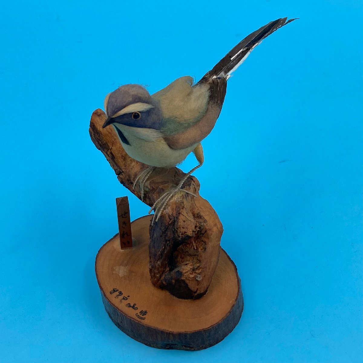 【20765Q084】置物 せきれい 鳥 野鳥 オブジェ 飾り物 羊毛フェルト? ぬいぐるみ 剥製風 インテリア コレクション 現状品拍卖