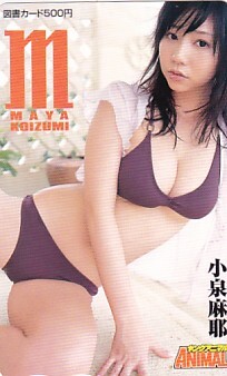 ■S26 小泉麻耶 ヤングアニマル図書カード500円1拍卖