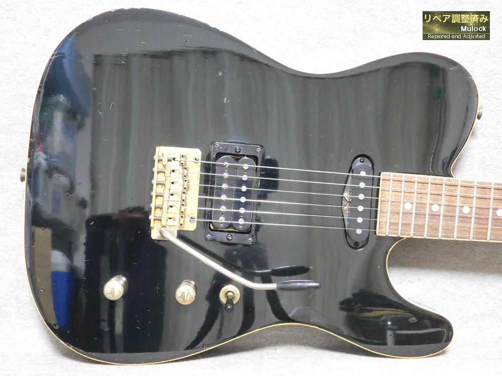 FERNANDES TEJ-55G 布袋モデルタイプ拍卖