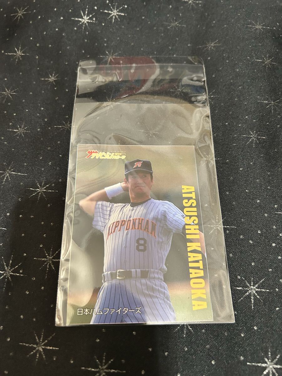 スポーツトレカ ザ・テレビジョン 片岡篤史拍卖