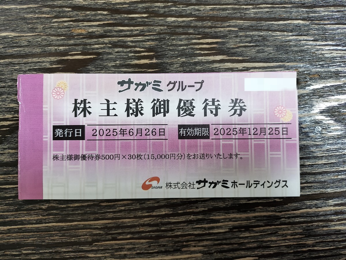 【送料込】(株)サガミホールディングス株主様ご優待券6000円分拍卖