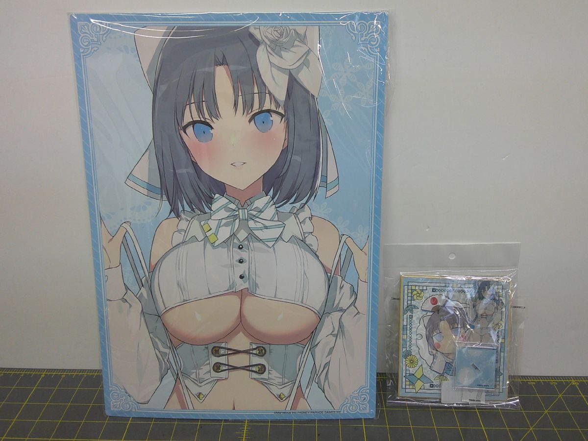 32 送80サ 1119YB15 雪泉 A3 ビジュアルパネル アクリルスタンド ミニ色紙 3点セット 閃乱カグラ WEBくじ 6パイ目 未開封拍卖