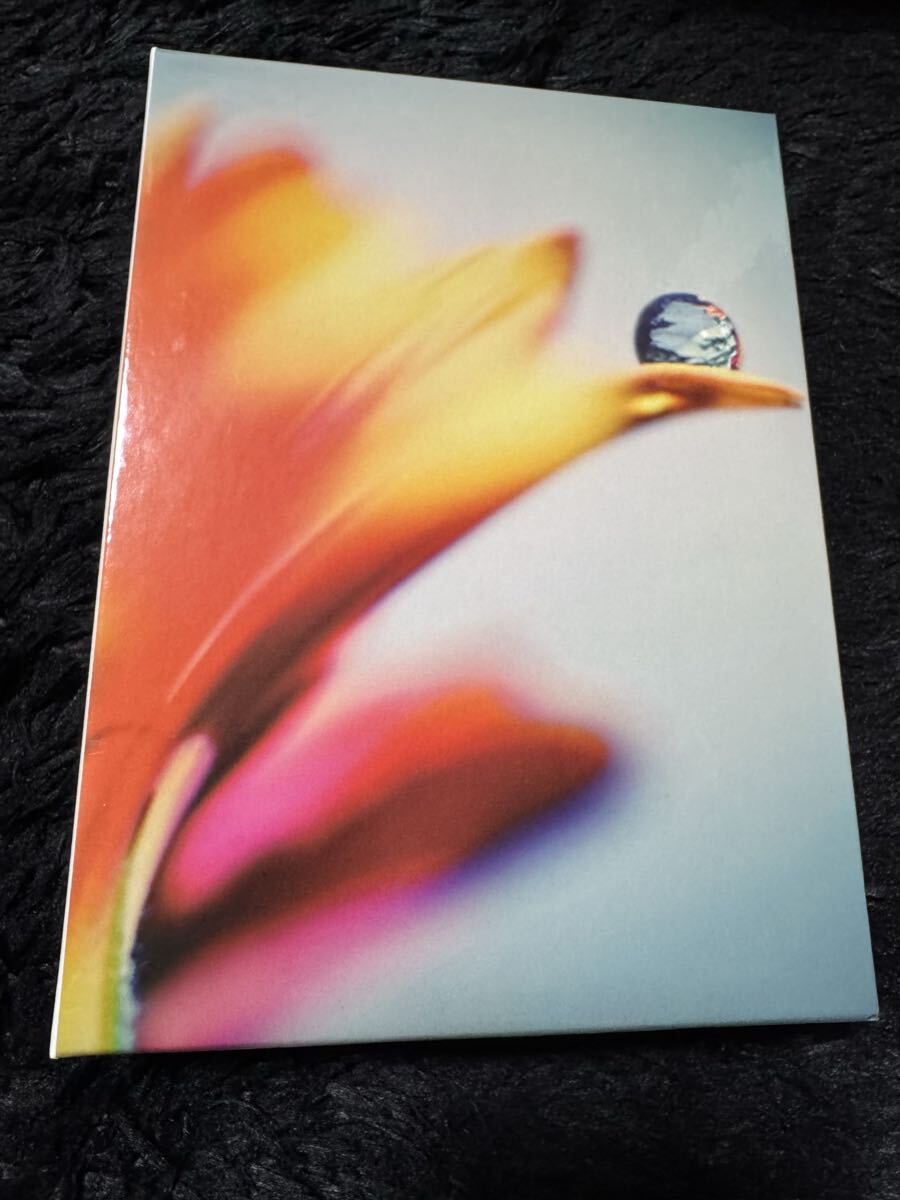 sads FALLING 会場限定盤 CD 清春 黒夢 サッズ拍卖