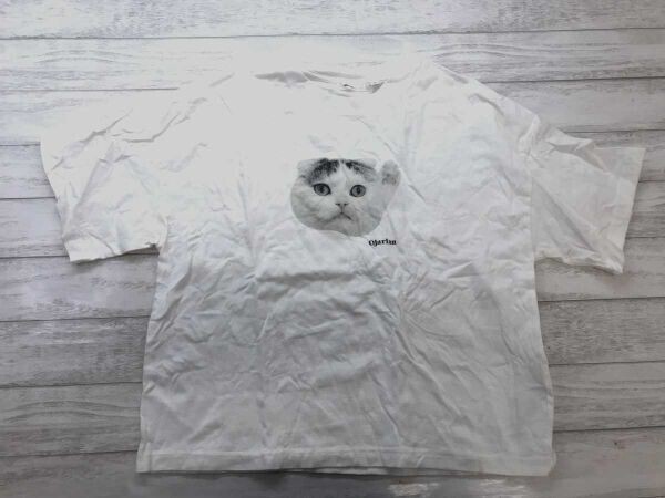 ニコアンド niko and... Ojarinn コラボ スコティッシュフォールド ライ 猫 ネコアンド プリント 半袖Tシャツ レディース 綿100% L 白拍卖