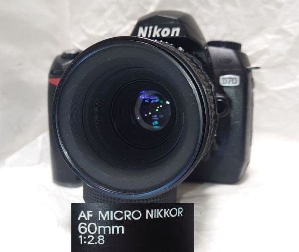 ★★超美品セット★★Nikon ニコン D70 AF 60mm F2.8★完動品★拍卖