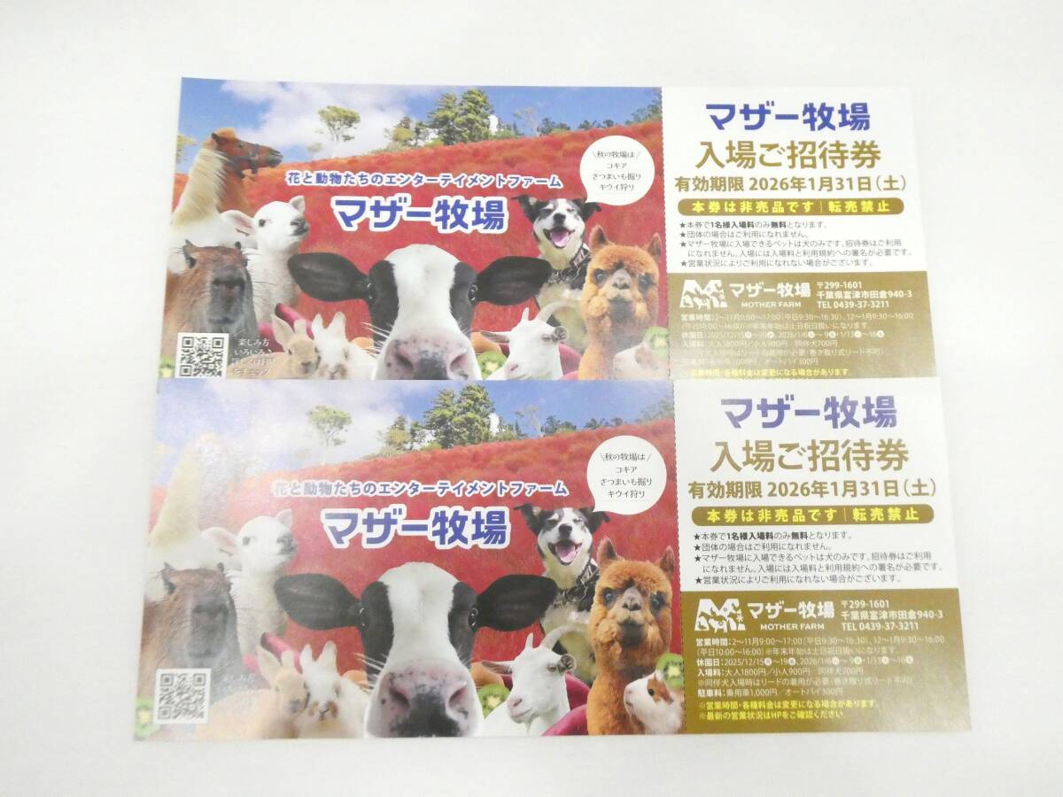 ☆未使用品 マザー牧場 入場ご招待券 2枚セット 有効期限:2026年1月31日(土) 千葉県☆拍卖
