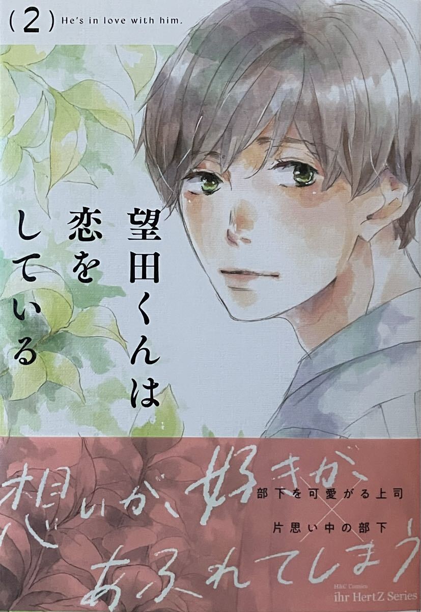 望田くんは恋をしている 2 木下けい子 非売品リーフレット付き 最新刊拍卖