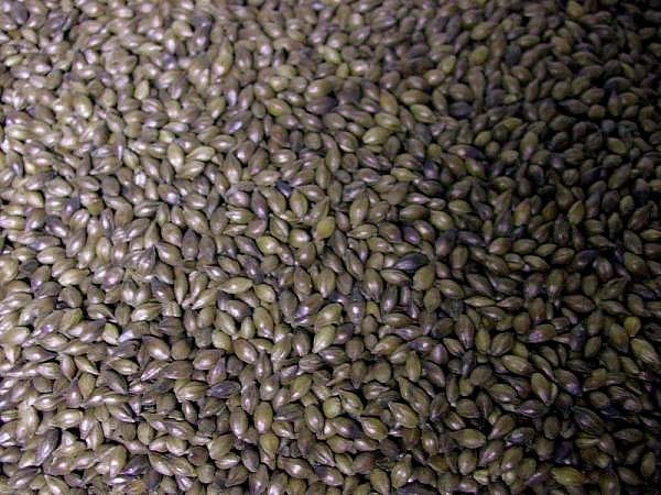 〓RS〓送料大幅ダウン・即売・真空でお届け1kg×3袋・国内産麦茶拍卖