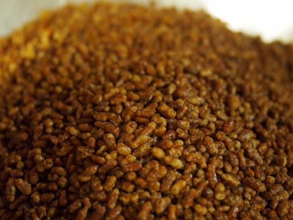 送料無料・玄米茶の玄米のみ・玄米茶の素「100g×5」メール便拍卖