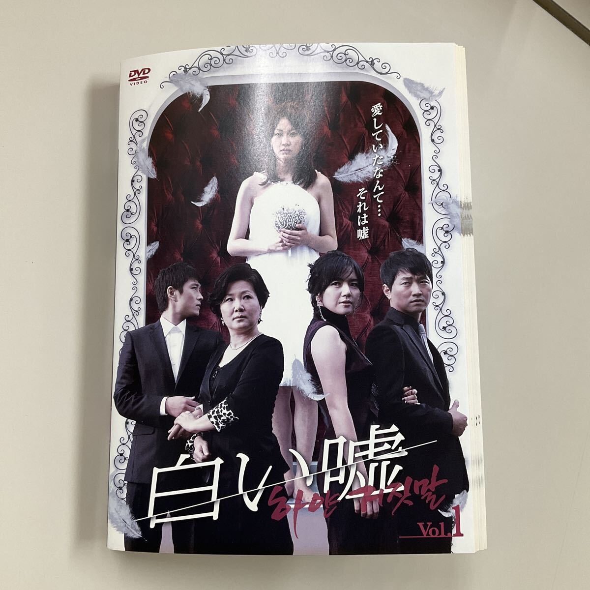 10312 白い嘘 全40巻 DVD レンタル落ち ※ジャケット焼けあり拍卖