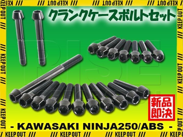 チタンボルト カワサキ Ninja250/ABS専用 ニンジャ250 EX250 2013-2014 クランクケース エンジンカバー ボルト セット 20本 ブラック ネジ拍卖