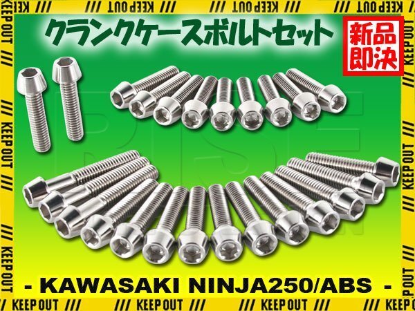 チタンボルト カワサキ Ninja250/ABS専用 ニンジャ250 EX250 2018- クランクケース エンジンカバー ボルト セット 25本 シルバー ネジ拍卖