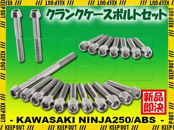 チタンボルト カワサキ Ninja250/ABS専用 ニンジャ250 EX250 2015-2017(- EX250LE011633) クランクケース エンジンカバー 20本 シルバー拍卖
