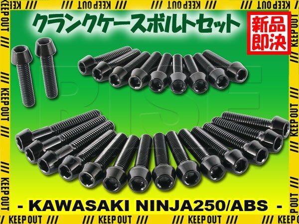 チタンボルト カワサキ Ninja250/ABS専用 ニンジャ250 EX250 2018- クランクケース エンジンカバー ボルト セット 25本 ブラック ネジ拍卖