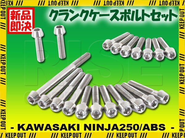 チタンボルト カワサキ Ninja250/ABS専用 ニンジャ250 EX250 2015-2017(EX250LE011634 -) クランクケース エンジンカバー 20本 シルバー拍卖