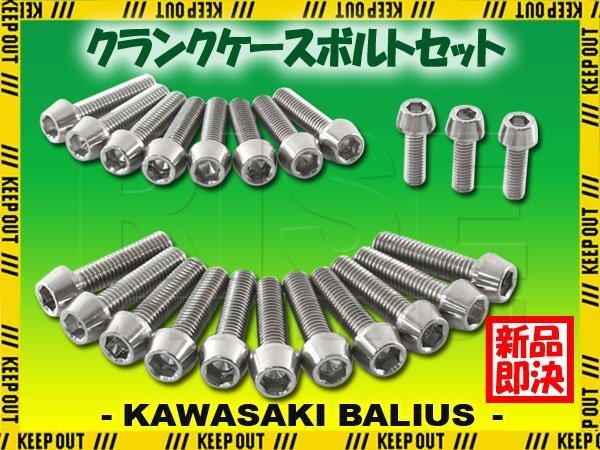 チタンボルト カワサキ バリオス/2専用 ZR250 クランクケース エンジンカバー ボルト セット 22本 シルバー 軽量化 カスタム拍卖