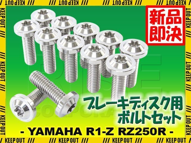 メール便OK!チタンボルト ヤマハ R1-Z RZ250R 17インチ専用 ブレーキディスクボルト フロント用 12本セット M8×25 P1.25 シルバー 軽量化拍卖