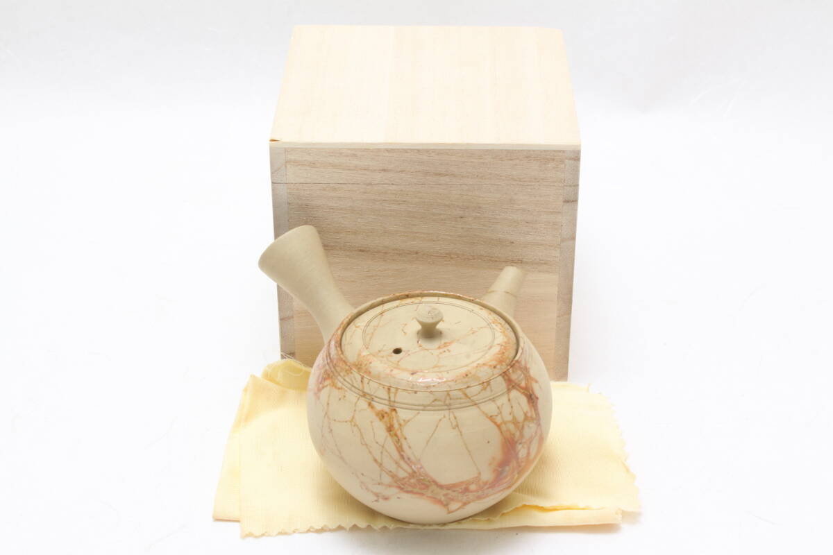 1125 新品未使用 小振り急須 常滑焼 谷川菁山 青山 白泥 藻掛け 煎茶器 煎茶道具 布 木箱付 ( 玉露 急須 茶注 )拍卖