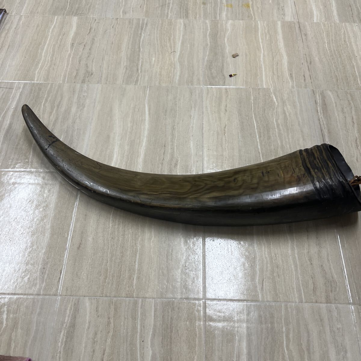 △橙壁△ 動物の角 装飾品 黒色 曲線デザイン 水牛? ツノ コレクション レトロ 置物 アンティーク オブジェ拍卖