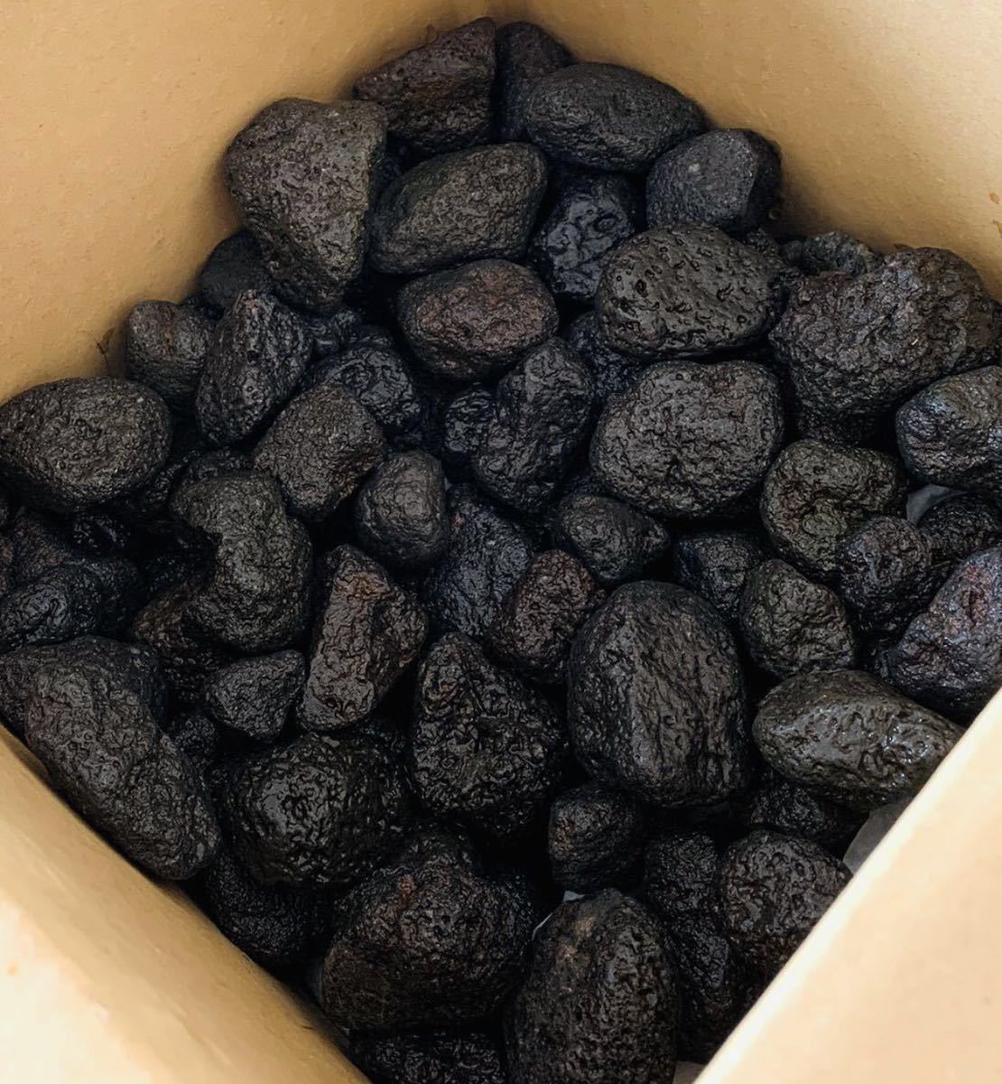 富士山 溶岩砂利 20-40㎜ 2キロ 黒 水槽 アクアリウム 水草 コケリウム 溶岩 水槽 アクアリウム 石 水槽レイアウト 砂利拍卖