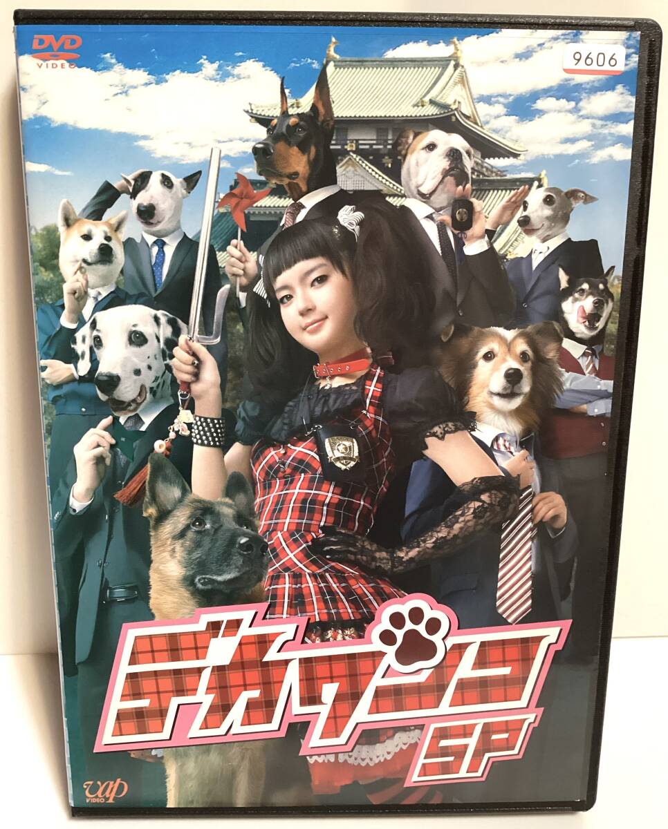 デカワンコ SP DVD / 多部未華子 沢村一樹 手越祐也 升殻 大倉孝二 石塚英彦 渡辺直美 吹越満 即決。拍卖