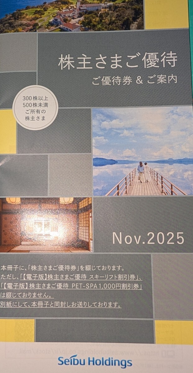 西武ホールディングス株主優待冊子(300株版)1セット(鉄道・バス優待乗車券2枚付)拍卖