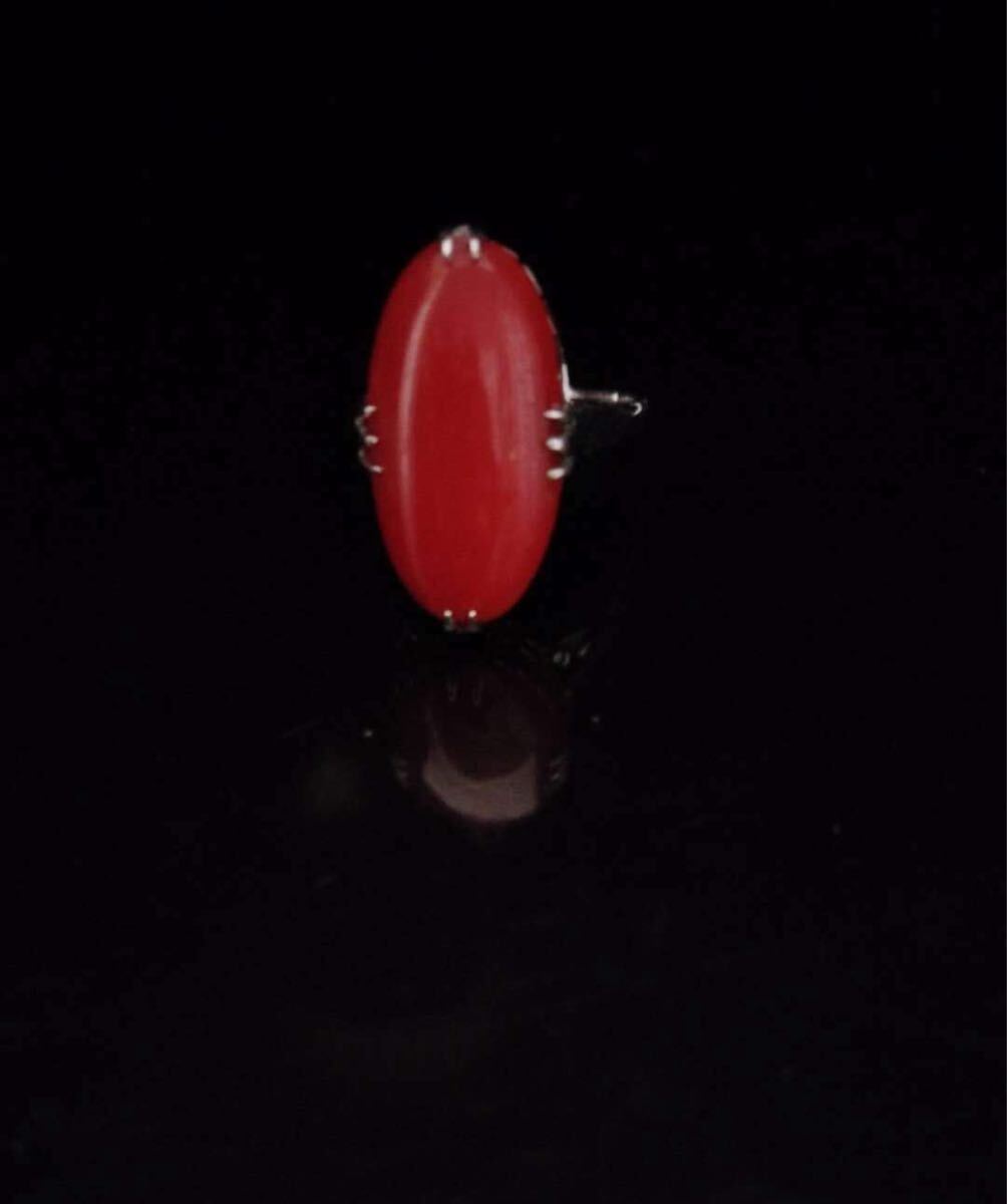 豪華☆シルバー製★大粒 珊瑚・コーラル 指輪・リング12号!!トップサイズ約20.8×11.5mm 3.7g☆SILVER刻印有り拍卖