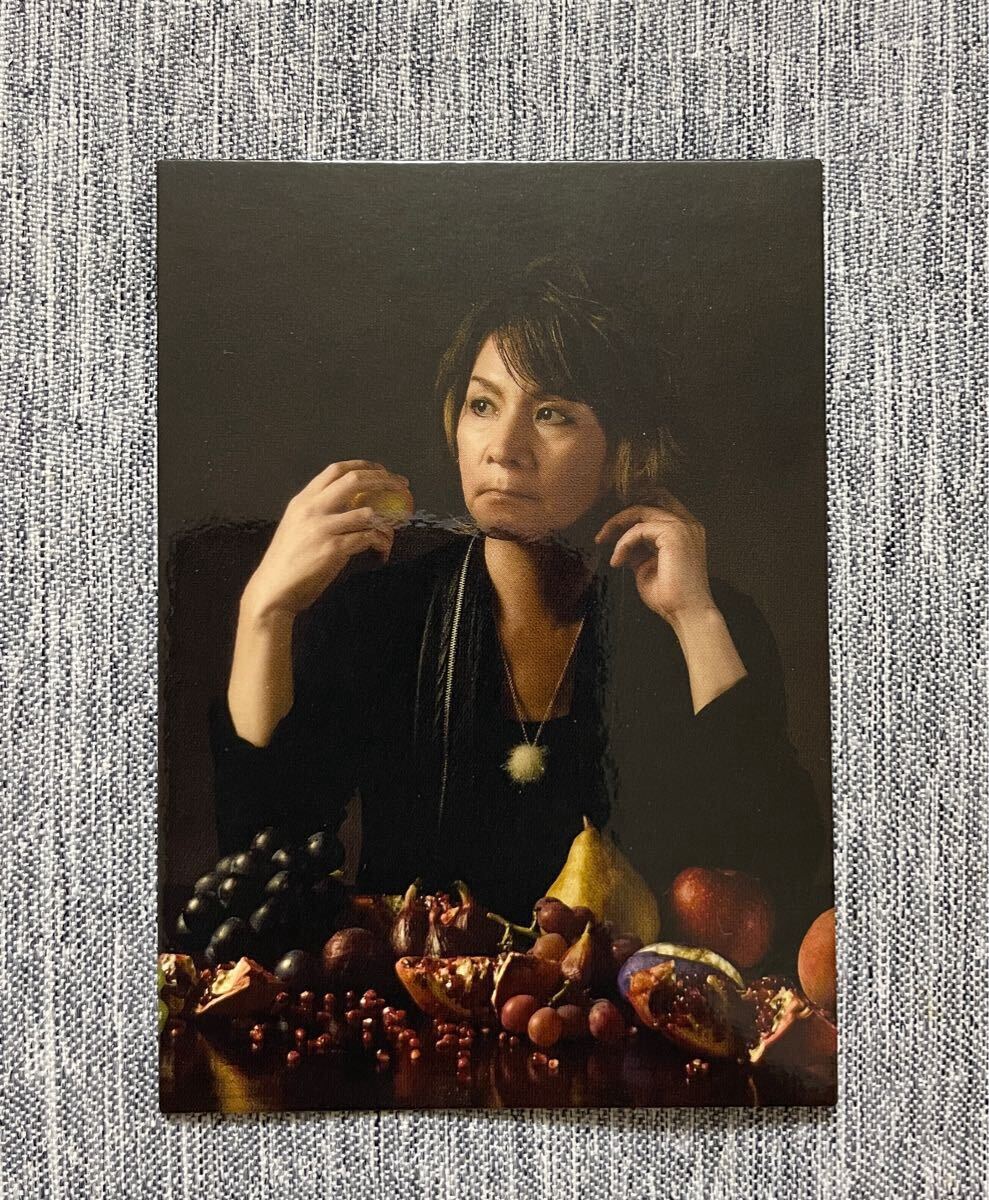 BUCK-TICK トレーディングカード 樋口豊 TOUR THE BEST 35TH ANNIV. / トレカ ユータ バクチク BT拍卖