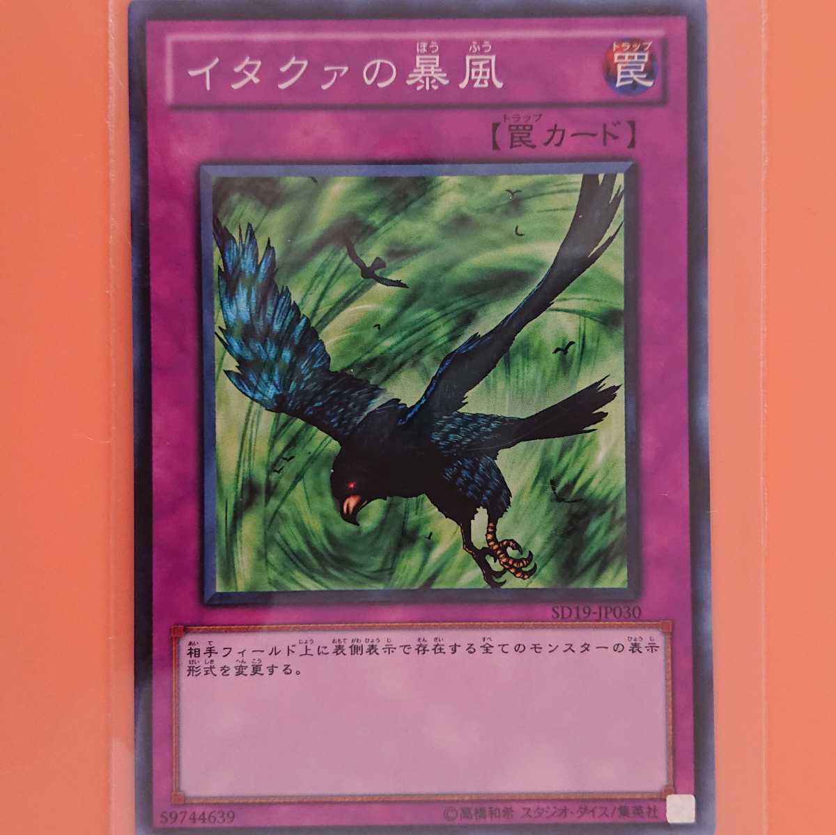 遊戯王 イタクァの暴風拍卖