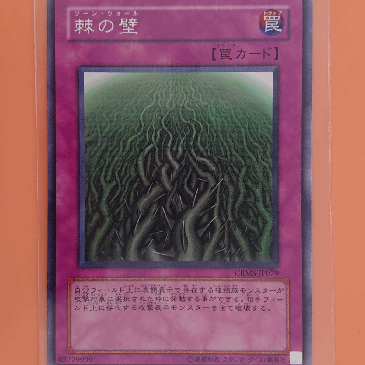 遊戯王 棘の壁拍卖