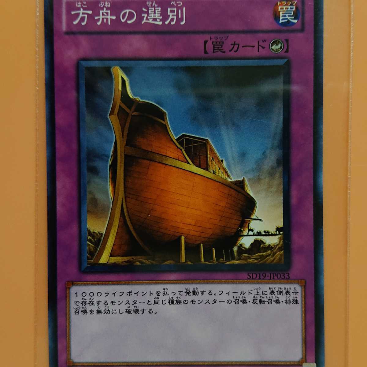 遊戯王 方舟の選別拍卖