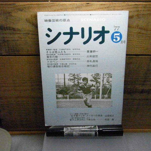 シナリオ 1977年5月号 さらば恋人たち 青年の樹 ドカベン 壇の浦夜枕合戦記 竹山ひとり旅 ロッキー拍卖